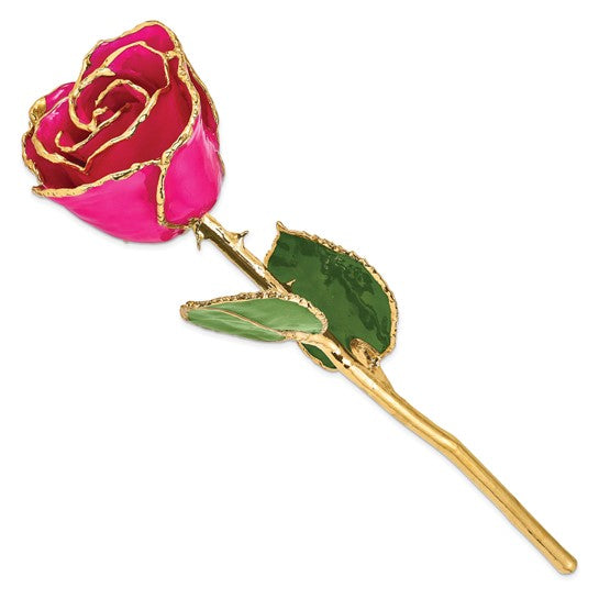 Forever Rose in  Lilac Pink/ Gold
