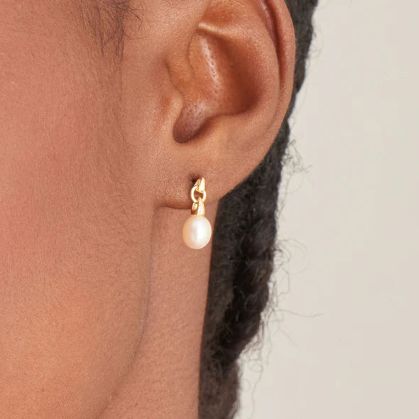 Pearl Drop Stud Earrings in Gold