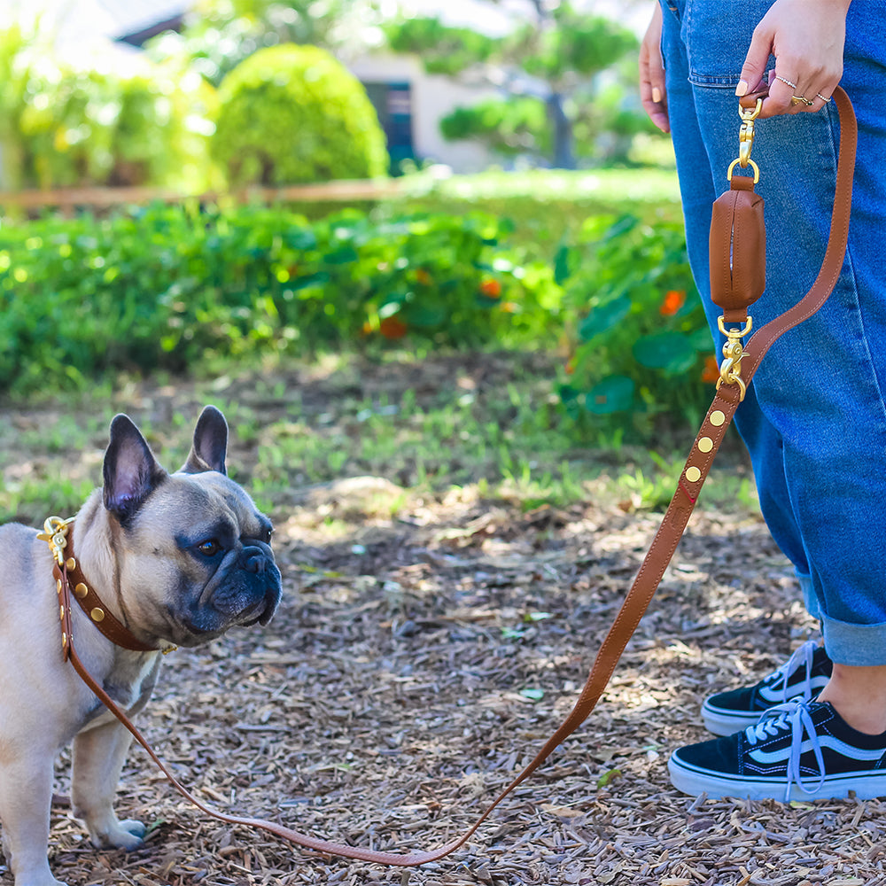 BUTCHIE Dog Leash in Black/ Gunmetal