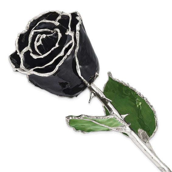 Forever Rose in Black/ Sterling Silver