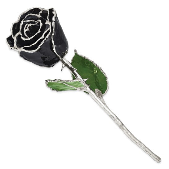 Forever Rose in Black/ Sterling Silver