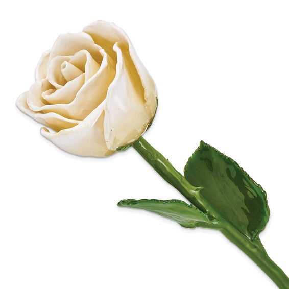 Forever Natural Rose in White