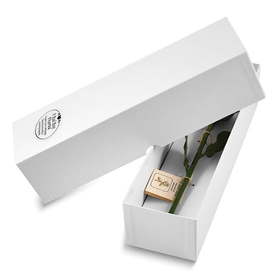 Forever Natural Rose in White