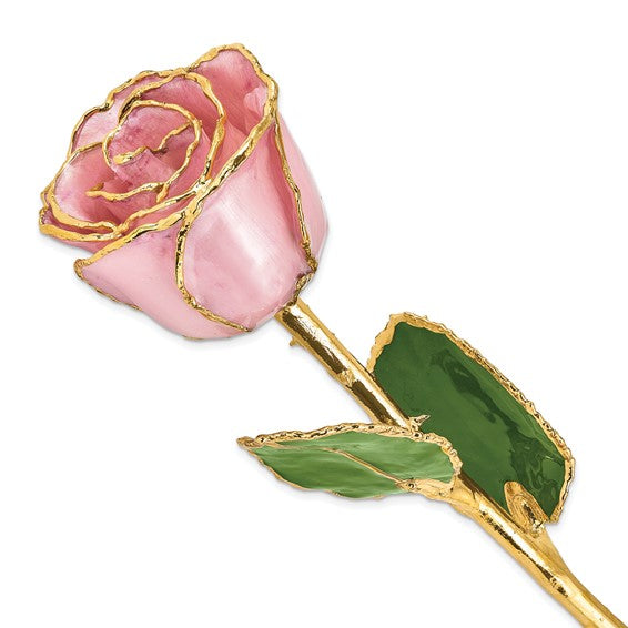 Forever Rose in Pink Pearl/ 24k Gold