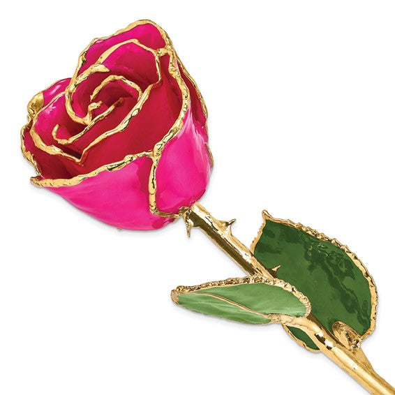 Forever Rose in  Lilac Pink/ Gold