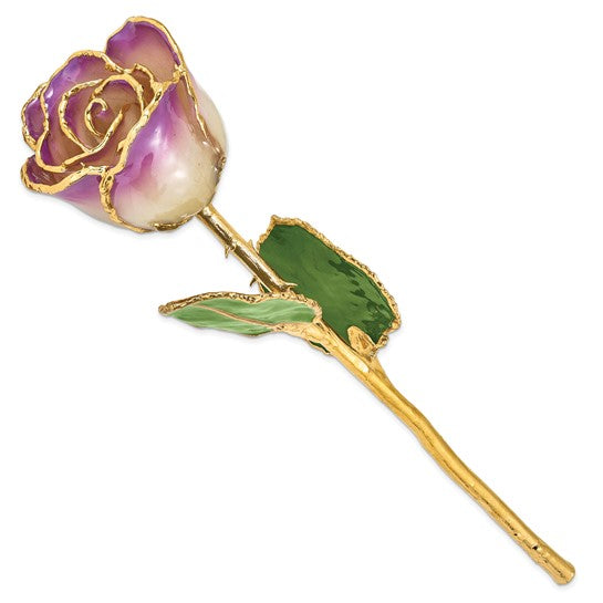 24K Forever Rose in Amethyst