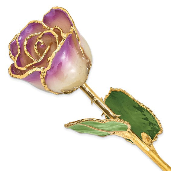 24K Forever Rose in Amethyst