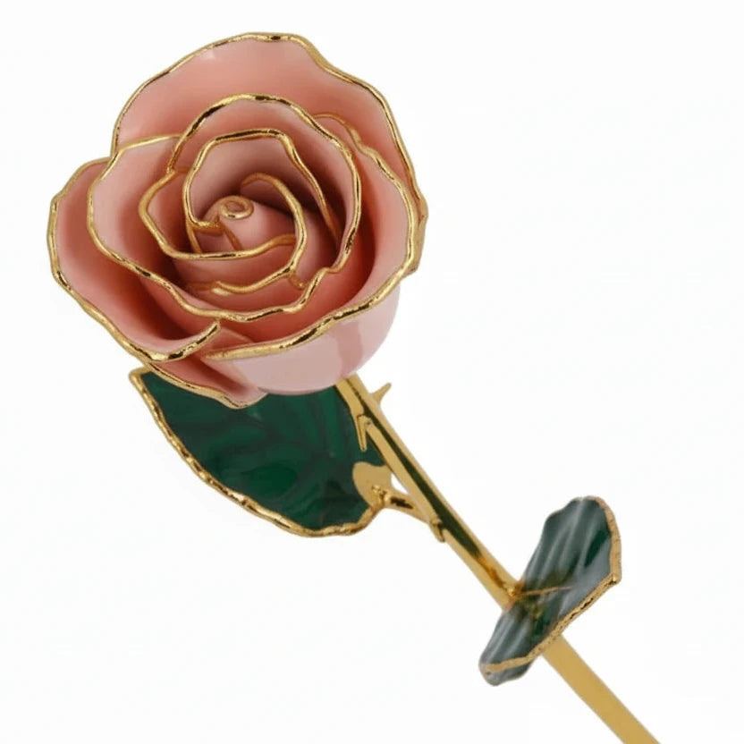 Forever Rose in Pink Pearl/ 24K Gold