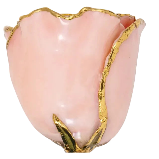 Forever Rose in Pink Pearl/ 24K Gold