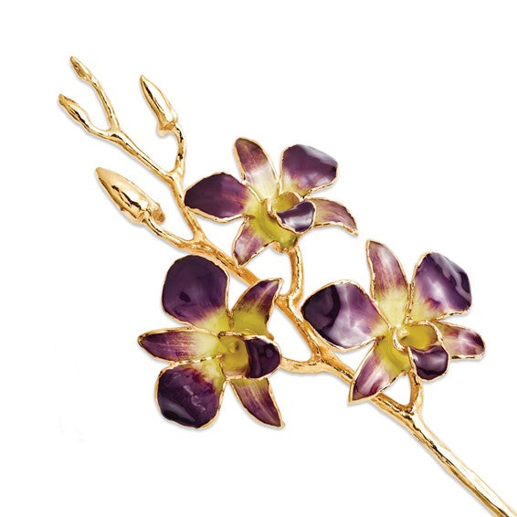 Forever Dendrobium Orchid in Purple/Yellow/Gold