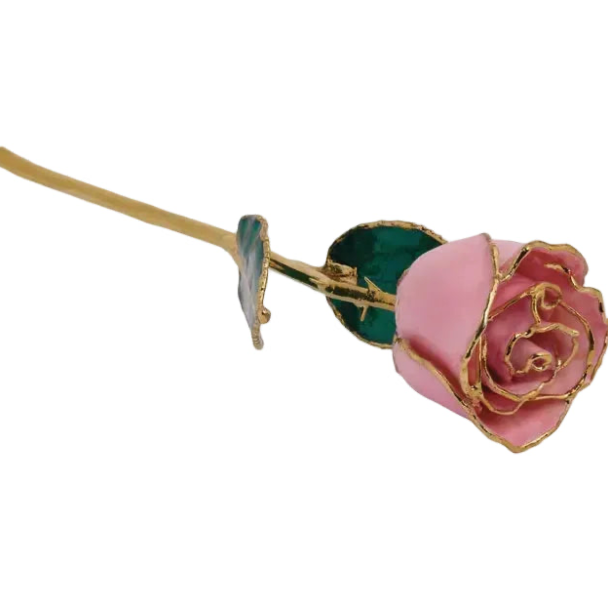 Forever Rose in Pink/ 24K