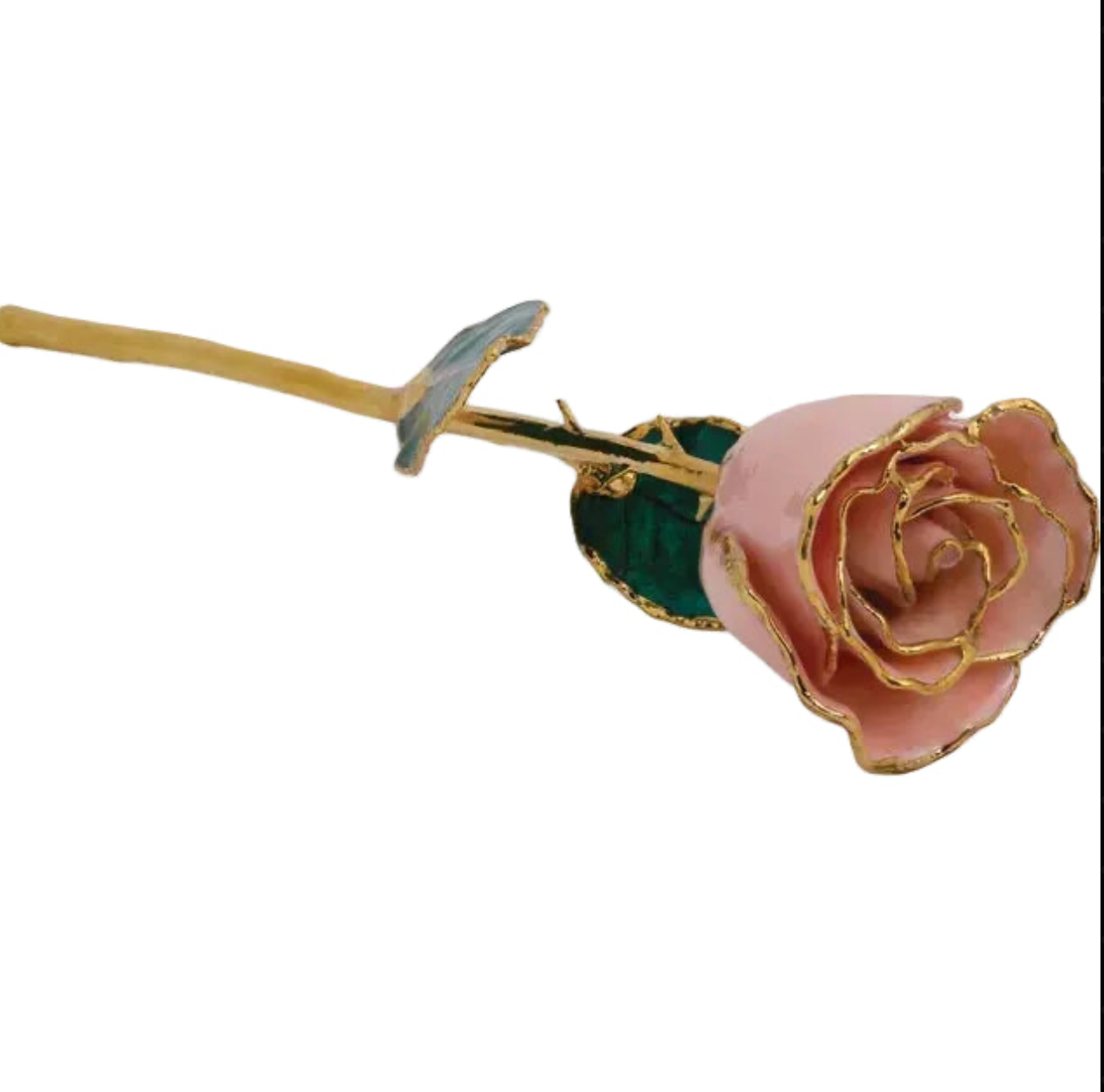 Forever Rose in Pink Pearl/ 24K Gold