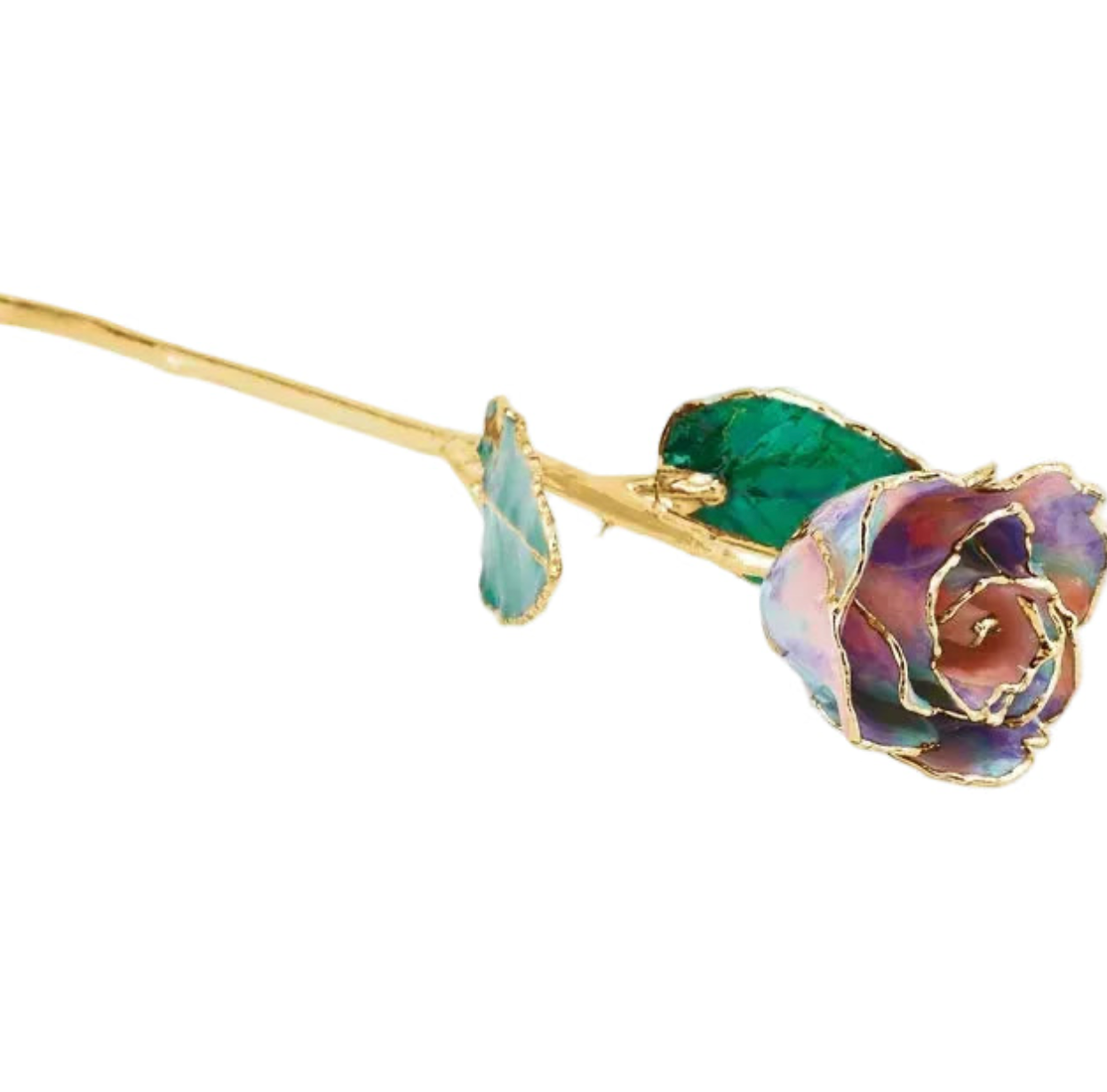 Forever Rose in Opal/ 24K Gold