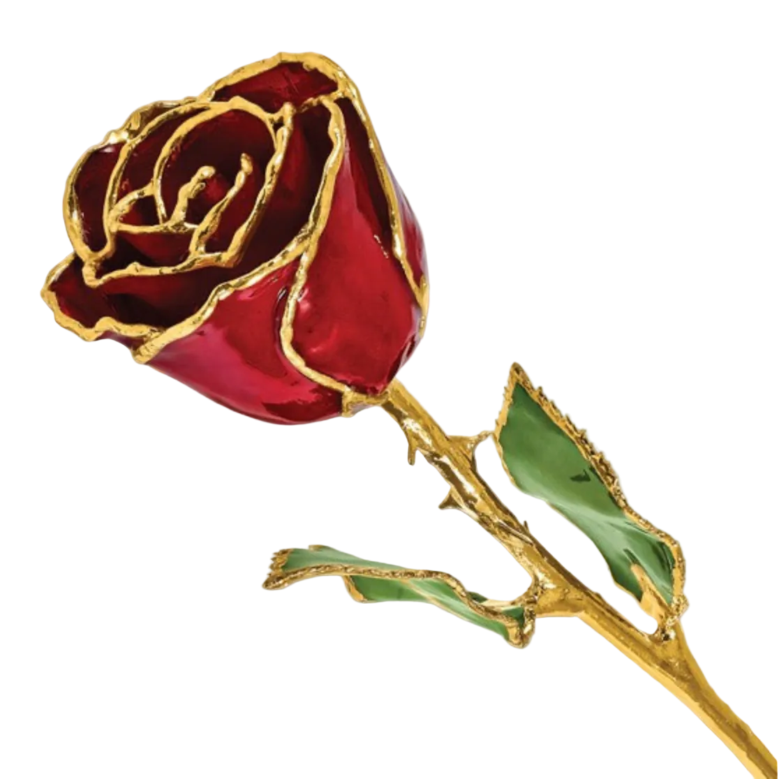 Forever Rose in Garnet/ 24k Gold