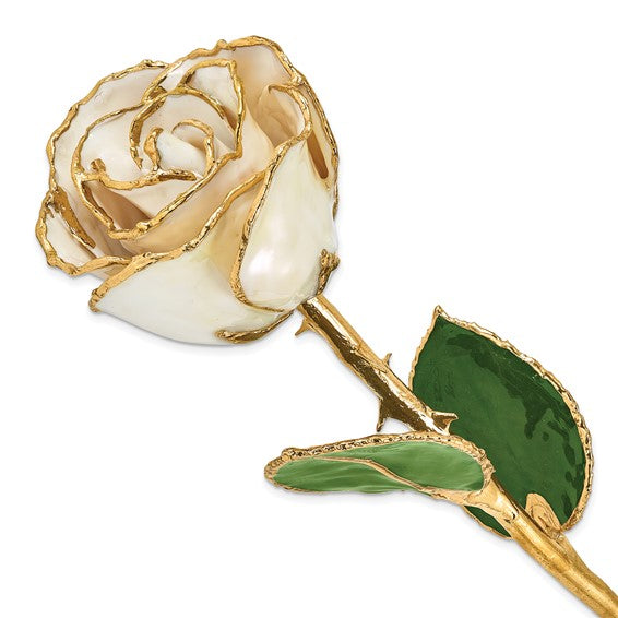 Forever Rose in White Satin/ 24k Gold