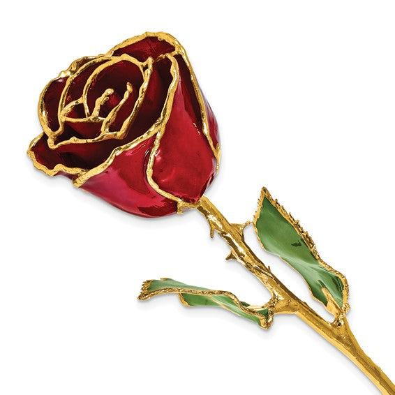 Forever Rose in Garnet/ 24k Gold