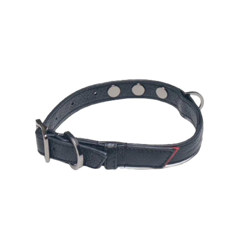 CAM Dog Collar in Black/ Gunmetal