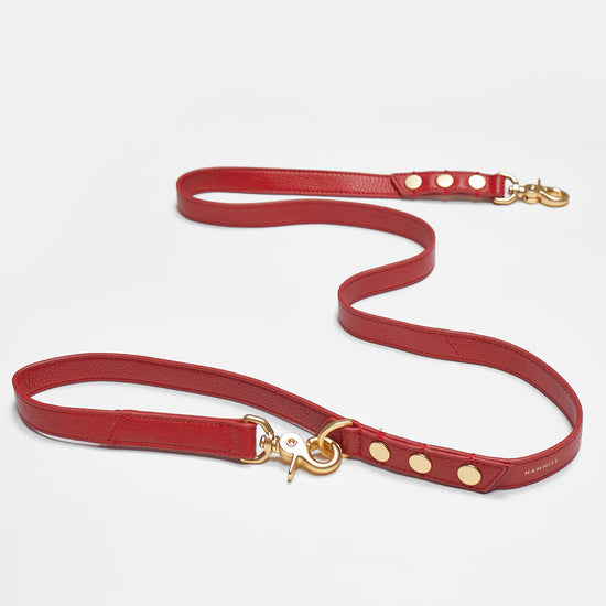 BUTCHIE Dog Leash In Winter Cherry/ Gold
