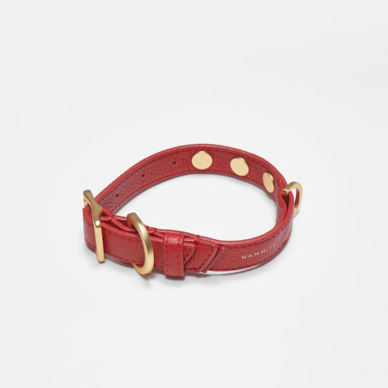 Load image into Gallery viewer, CAM Dog Collar in Winter Cherry/ Gold
